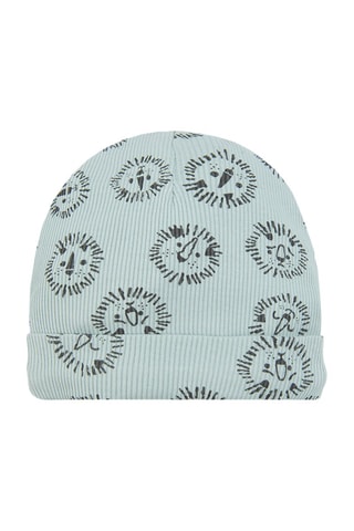 Bonnet Vert d’eau