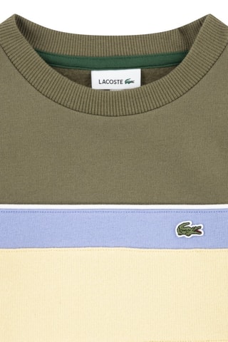 Sweat - Vert