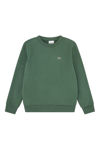 Sweat - Vert