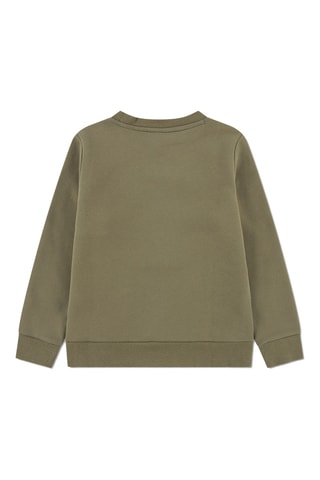 Sweat - Vert