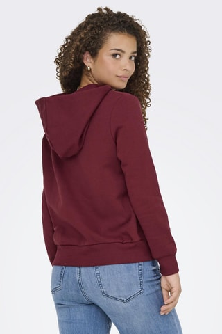 Sudadera de algodón orgánico con capucha - Burdeos