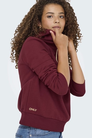 Sudadera de algodón orgánico con capucha - Burdeos