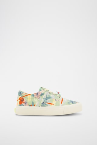 Zapatillas Skate Elast - Multicolor