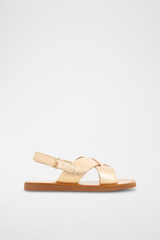 Sandalias de piel Plagette Cross - Marrón