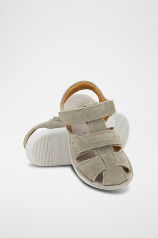 Sandalias de nobuk Goa New Scratch - Verde