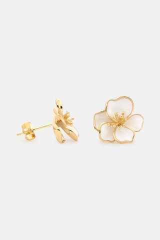 Dormilonas Orquídea - Oro amarillo