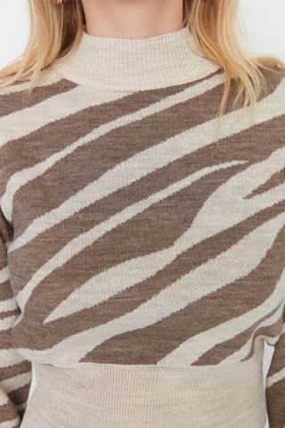 Camisola regular - Bege e castanho