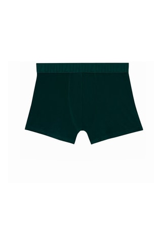 Boxers Microreliz Verde