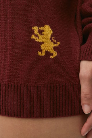 Camisola Harry Potter Potteroniz Bordô