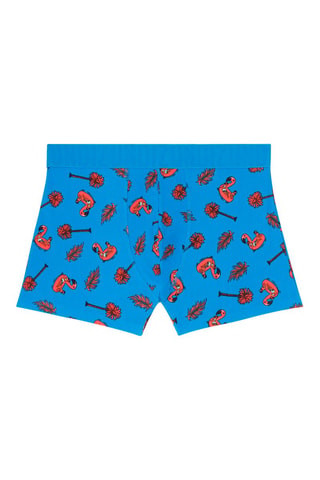 Boxers New Katchiz Azul