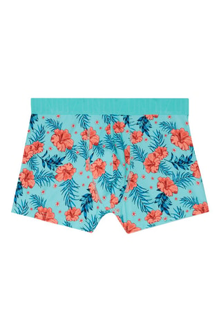 Boxers Blutropiz Turquesa