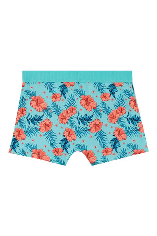 Boxers Blutropiz Turquesa