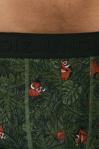 HOMME LINGERIE BOXER KATCHIZ EMERAUDE
