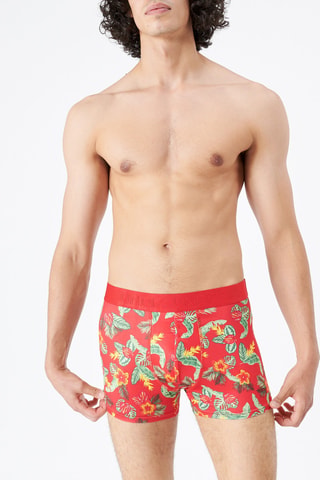 Boxers Katchiz Monsteradiz Vermelho e verde