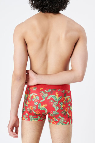 Boxers Katchiz Monsteradiz Vermelho e verde