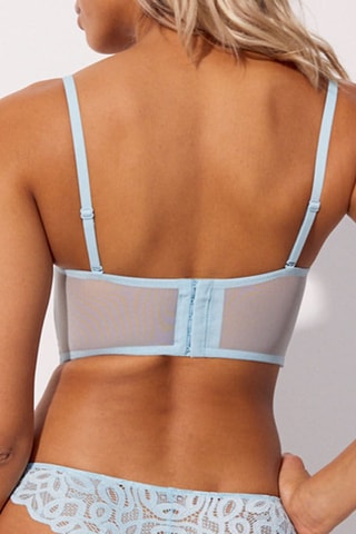 Caicai ampliforma Bohemiz - Azul-celeste