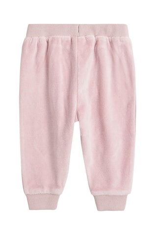 Jogging Rose