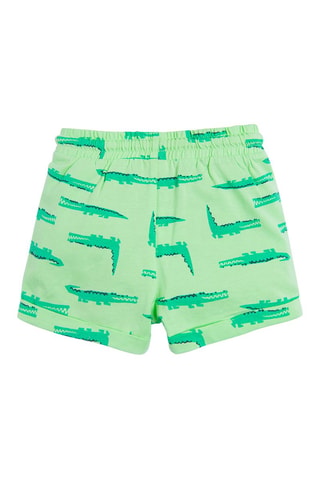 2 shorts Vert et turquoise
