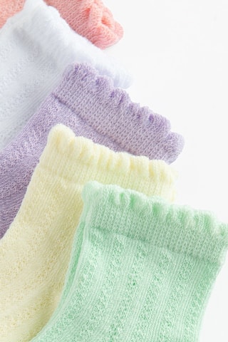 5 paires de chaussettes - Violet et vert clair