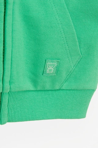 Sweat à capuche - Vert clair