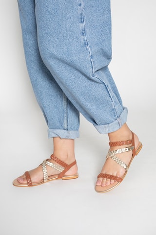 Sandalias de piel - Marrón y gris
