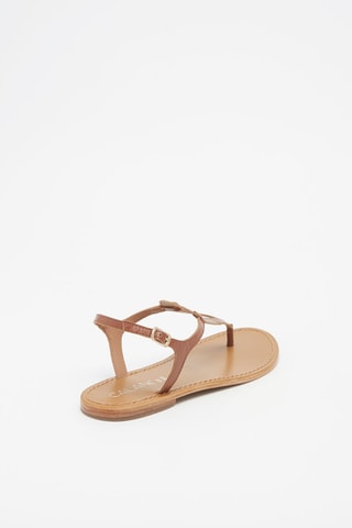 Sandalias de piel Bandeira - Marrón