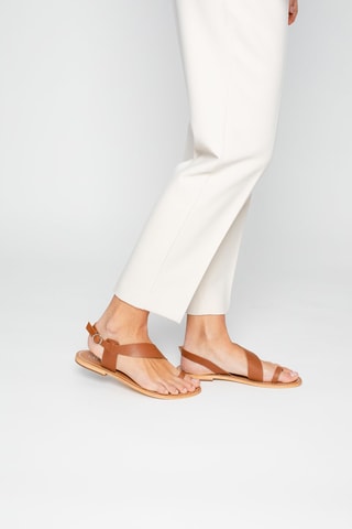 Sandalias de piel Farshid - Beige, marrón y plateado