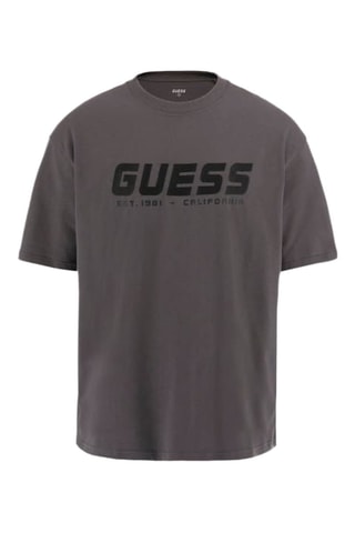 Camiseta Suron - Gris - Guess
