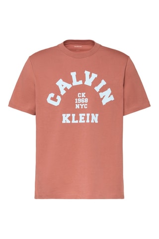 T-shirt - Marron