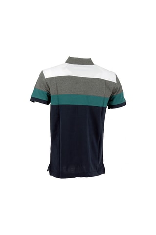 Polo - Navy e verde