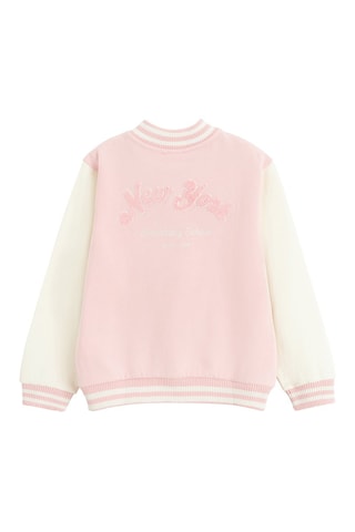 Teddy - Rosa