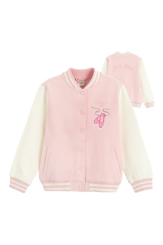 Teddy - Rosa