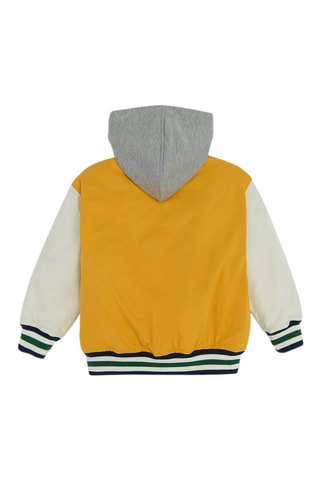 Teddy - Amarelo