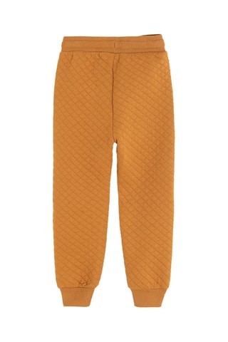 Calças de treino - Laranja