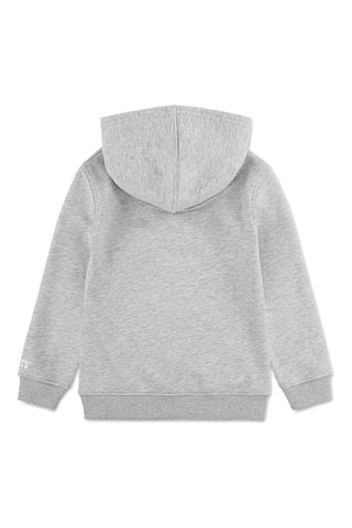 Felpa in cotone bio - Grigio