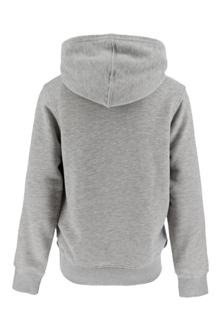 Felpa con cappuccio - Grigio