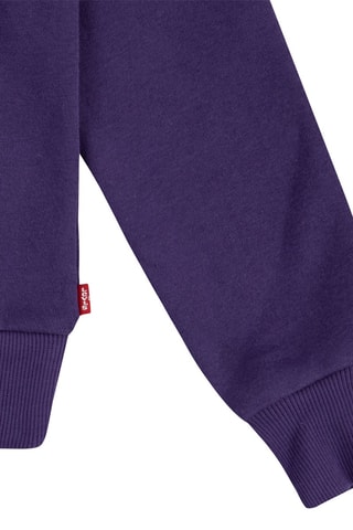 Felpa con cappuccio - Viola