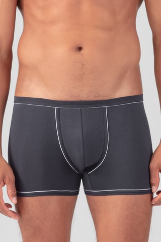 Boxer - Gris