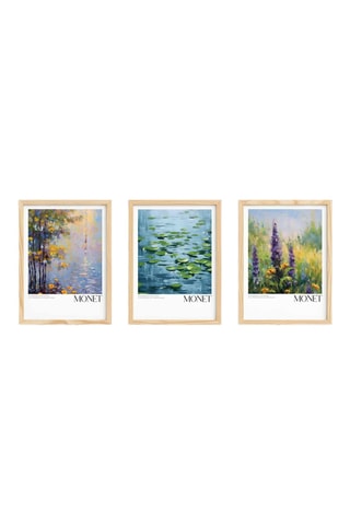 3 quadri - 70 x 50 cm