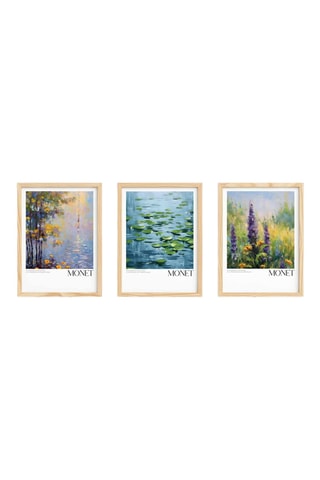 3 quadri - 60 x 40 cm