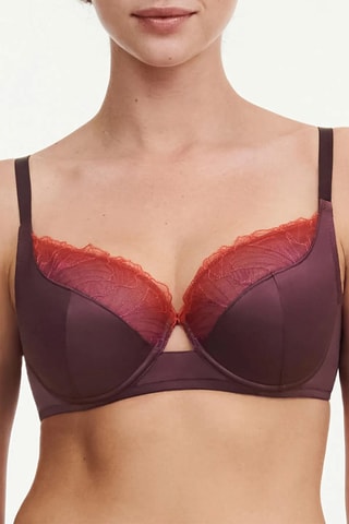 Reggiseno preformato - Bordeaux - Chantelle