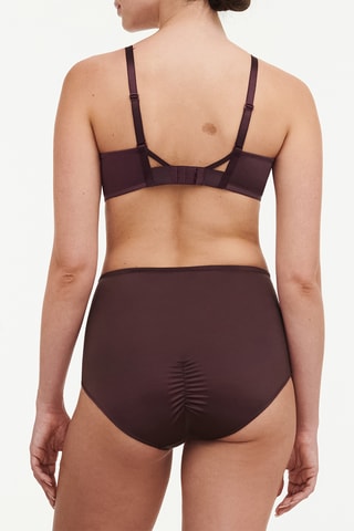 Reggiseno preformato - Bordeaux - Chantelle