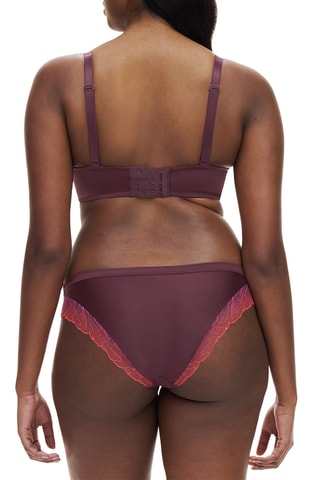 Reggiseno - Bordeaux - Chantelle