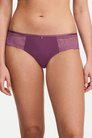Culotte Orangerie - Viola - Chantelle