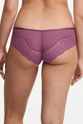 Culotte Orangerie - Viola - Chantelle