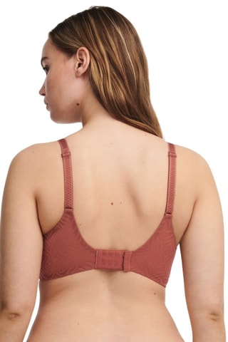 Reggiseno preformato Graphic A - Marrone - Chantelle