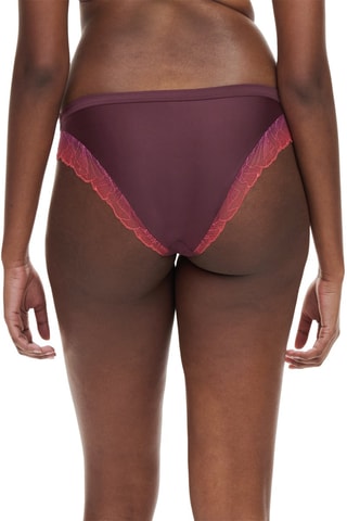 Slip Tattoo - Bordeaux - Chantelle