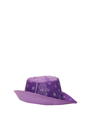 Bob - Violet