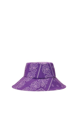 Bob - Violet