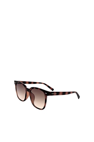 Lunettes de soleil femme - Catégorie 2 - Calvin Klein - Blanc, noir et marron